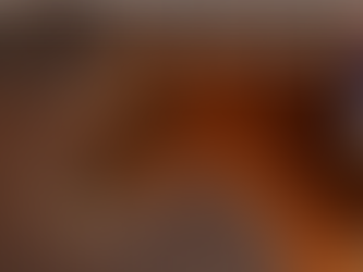 ein freundlich aussehendes Pferd im Western style