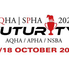 DieAusschreibung für die SQHA /SPHA Futurity ist Online! 