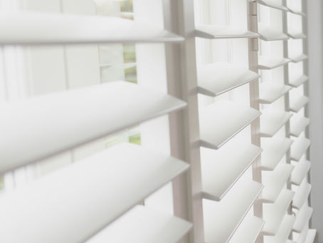 Today's spotlight: Plantation Shutters