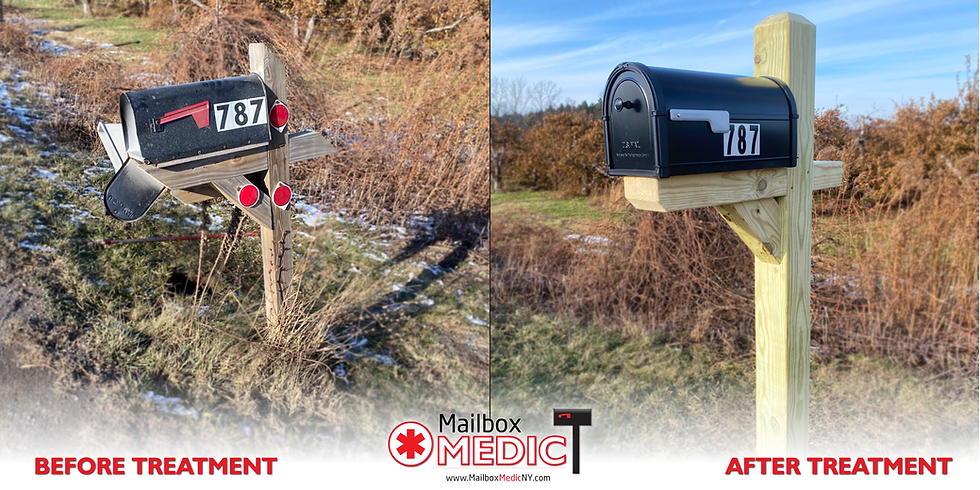 Mailbox for Busy Road