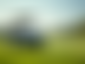 Why Choose Naturecoast Carts for Your Golf Cart Needs?