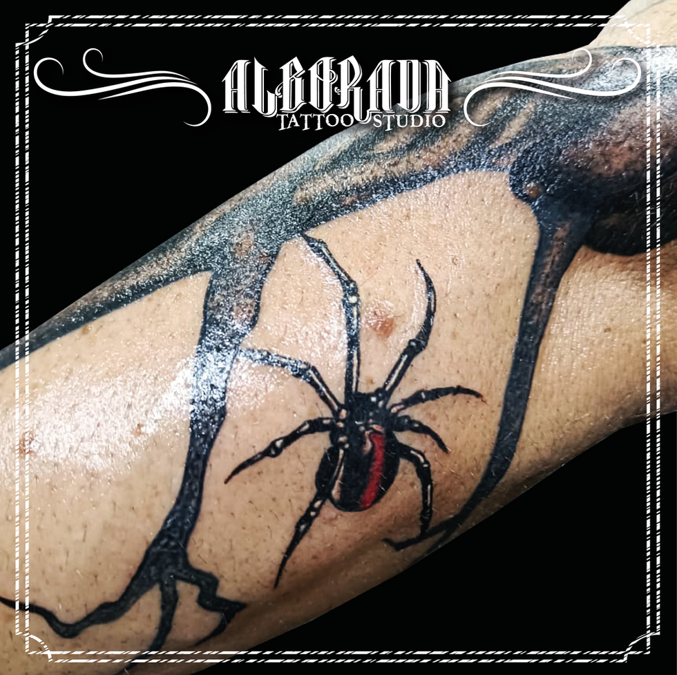 ALBORADA POST ALX 4.png