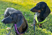 IMG_7221_edited.jpg