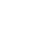 Logo-visual-w.png