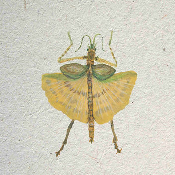 Ginko Walking Sticks