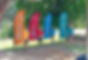 whanau full with flags.jpg