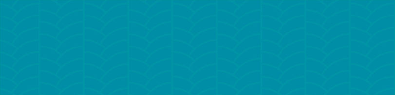 blue small weave-01.jpg