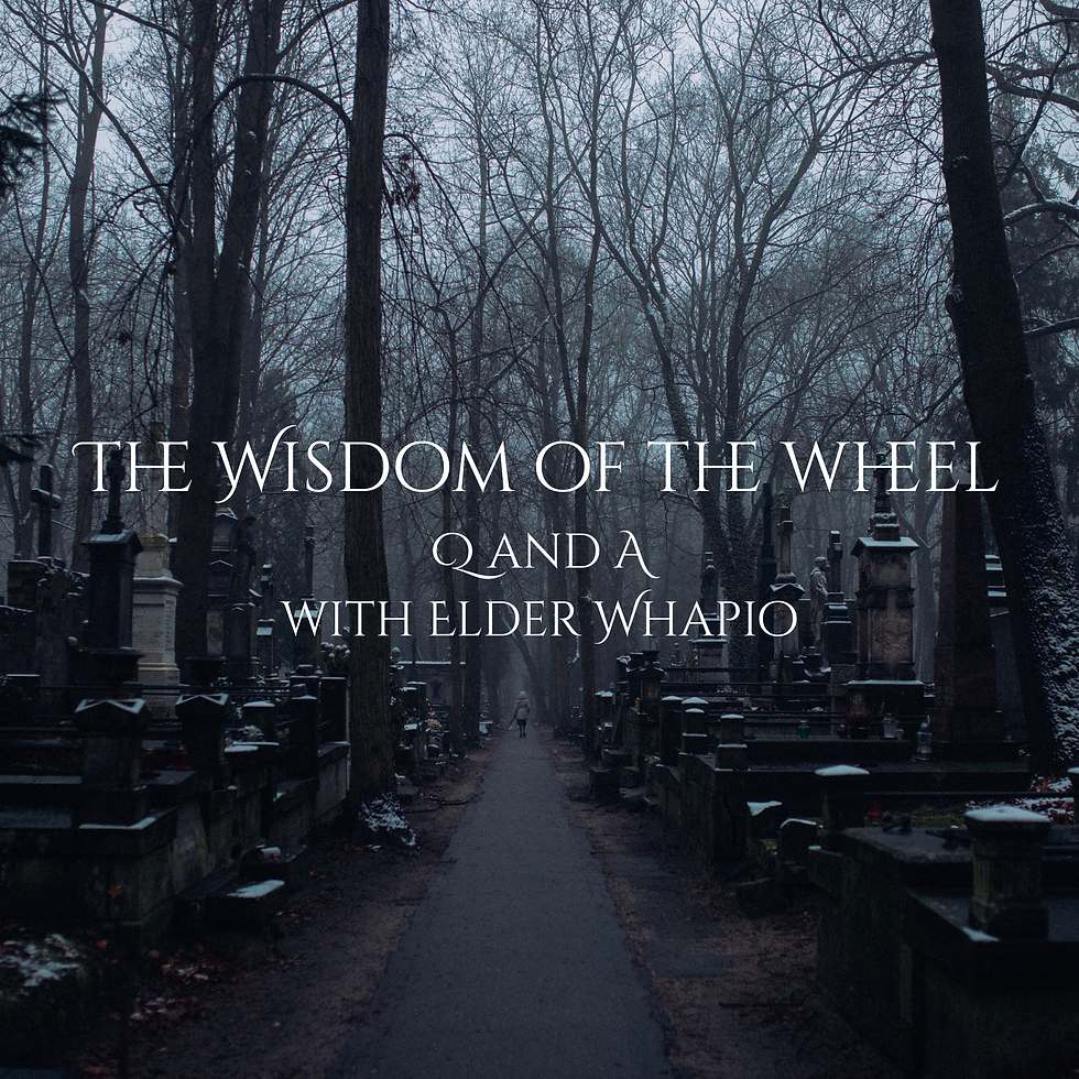 The Wisdom of the Wheel Q and A