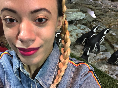 Penguin Encounter at SeaWorld Orlando: Behind the Scenes Tour
