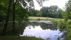 Malabar 3