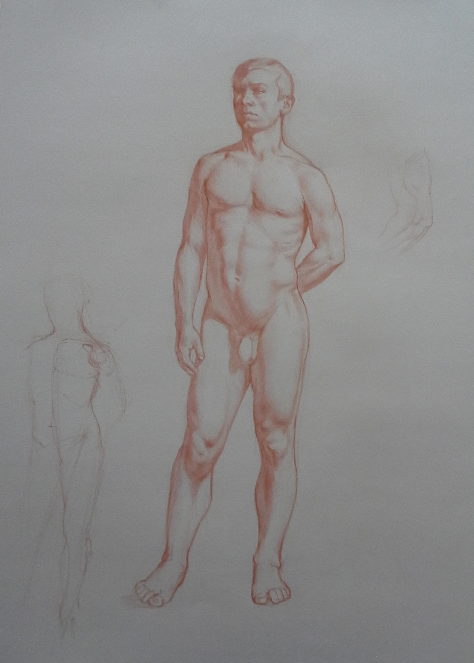 figure structure study, Colin