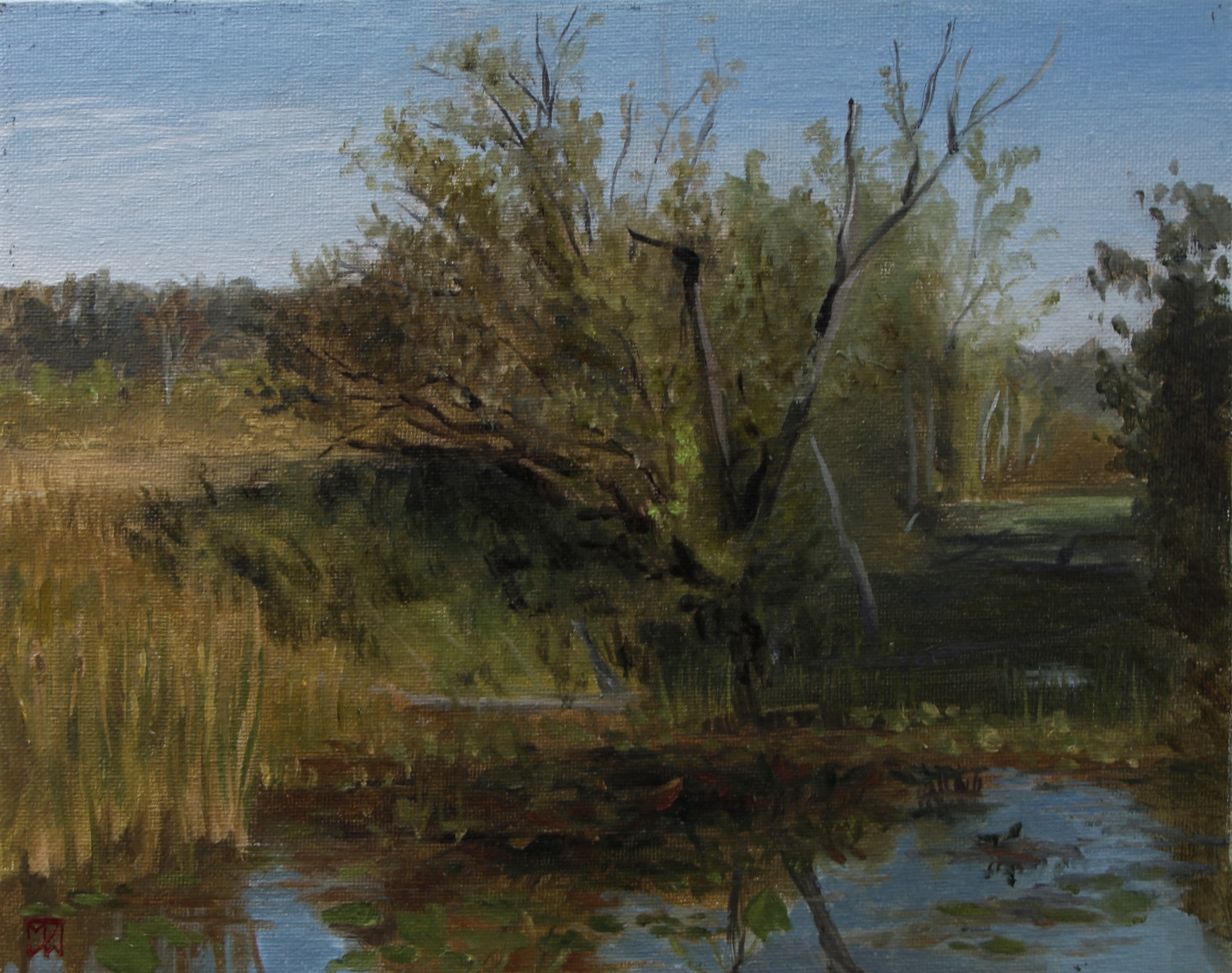 Tree at the Old Canal