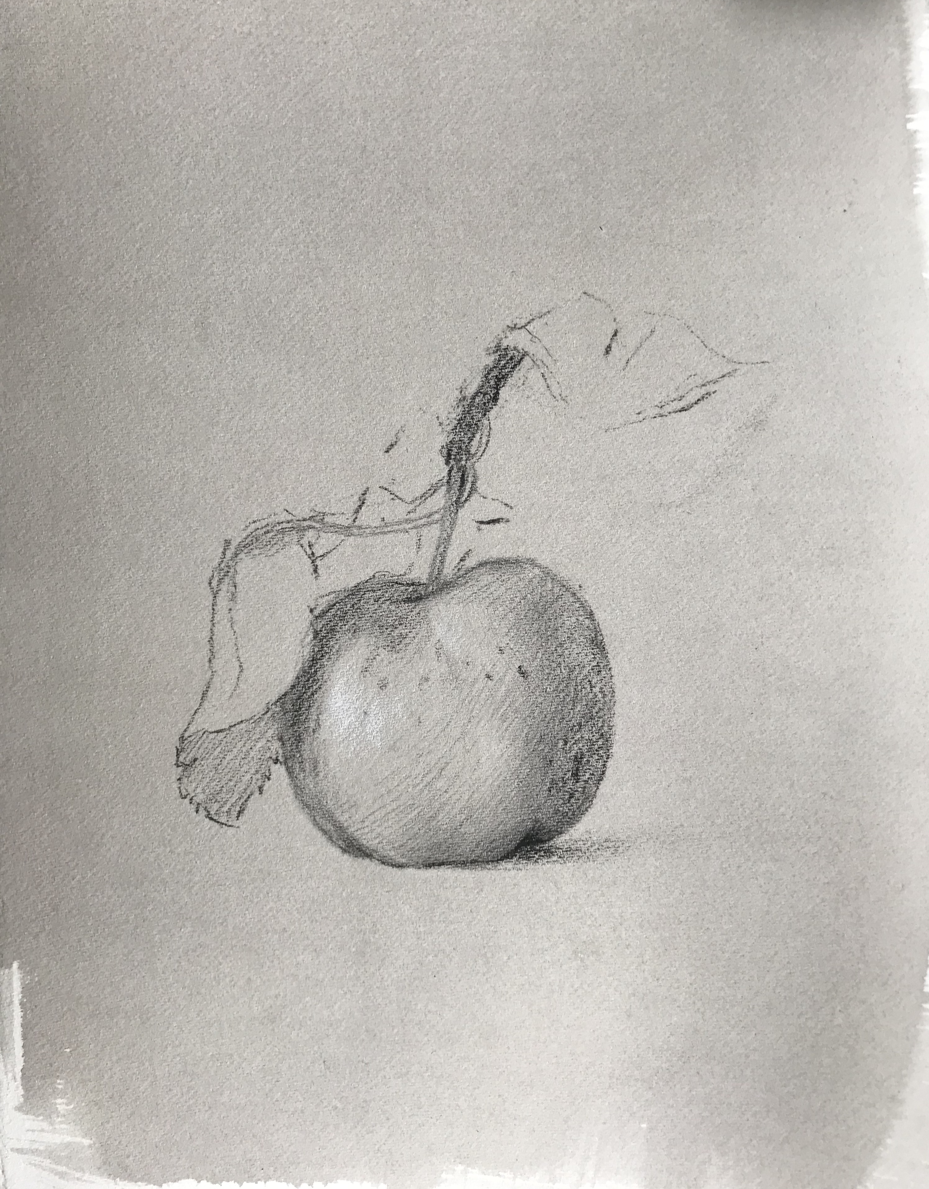 Apple Drawing