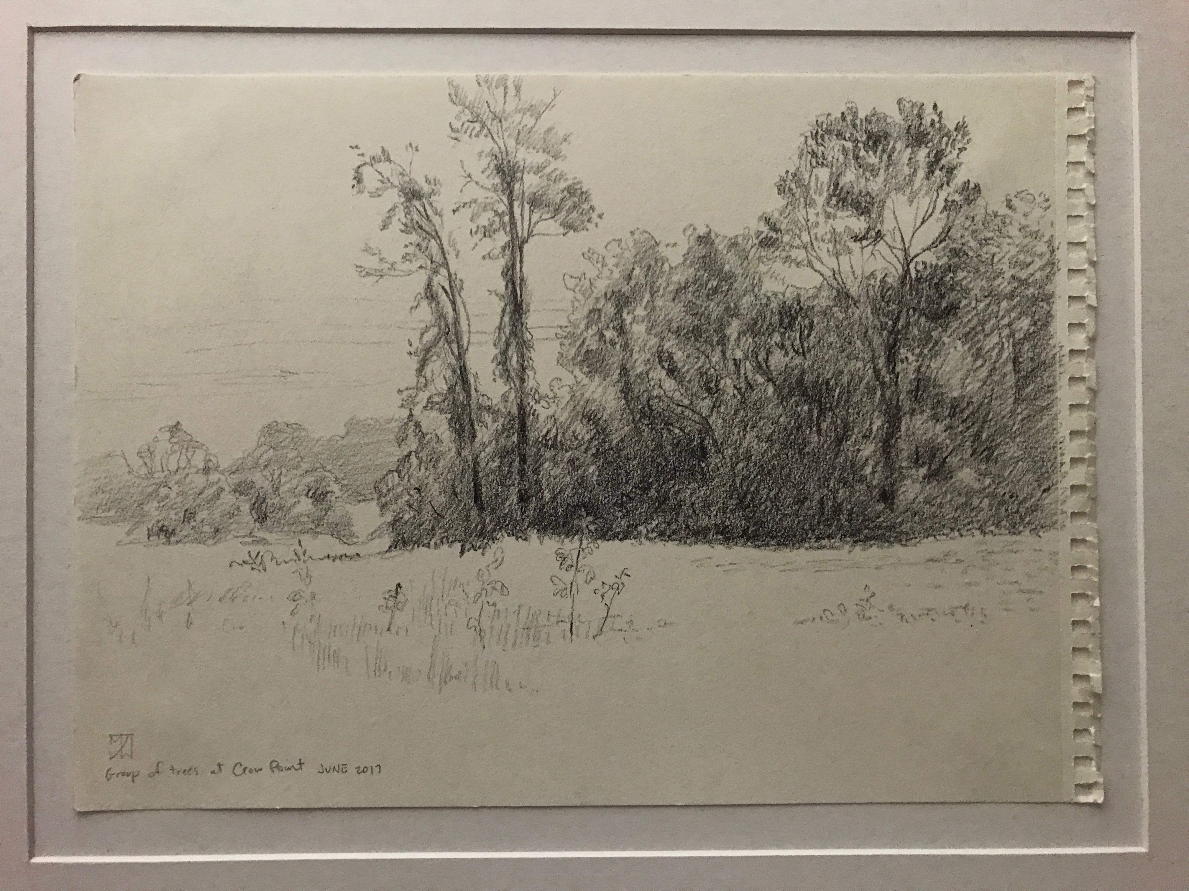 Trees near Crow Point