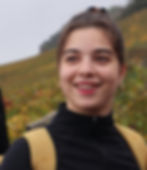 תמר אפק