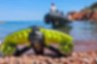 banner-navbow-sublue-19.jpg