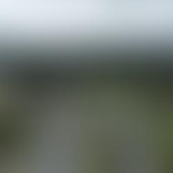 Coleta de Lixo se destaca entre os serviços públicos de Valinhos