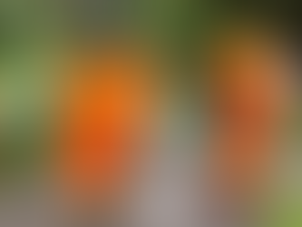 Limpeza Pública de São José dos Campos ocupa 2º lugar entre os serviços avaliados