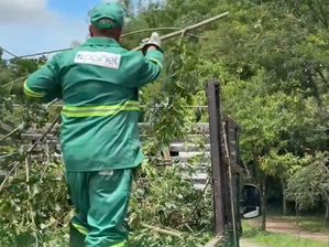Limpeza de Barueri completa 1 ano com Alto Grau de Satisfação 
