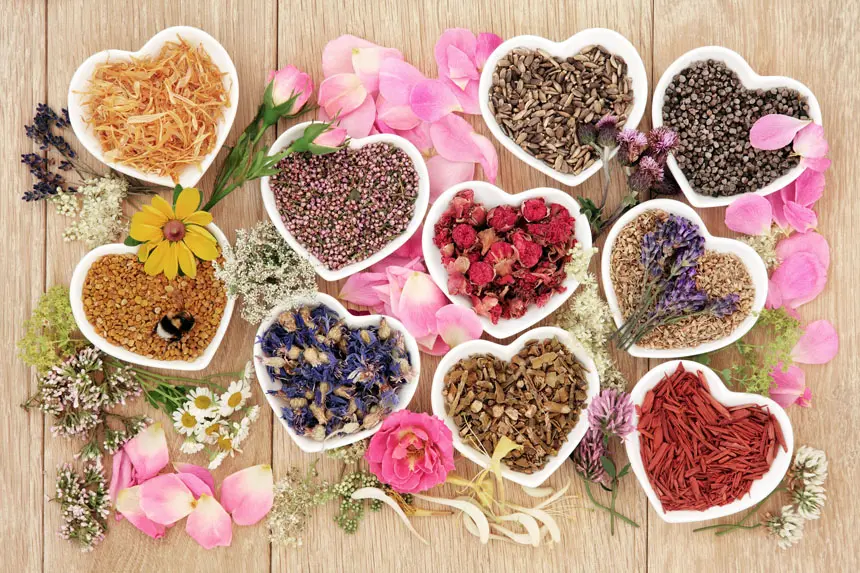 naturopathie-6.webp