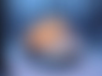 Ein Bett im Winterwald