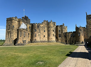 IMG_3206.jpeg