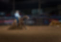 20241128-DSC01618-Enhanced-NR.jpg