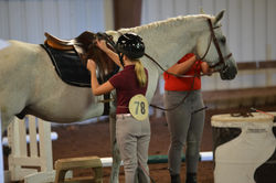 Freedom Farms, Mountain Top, PA