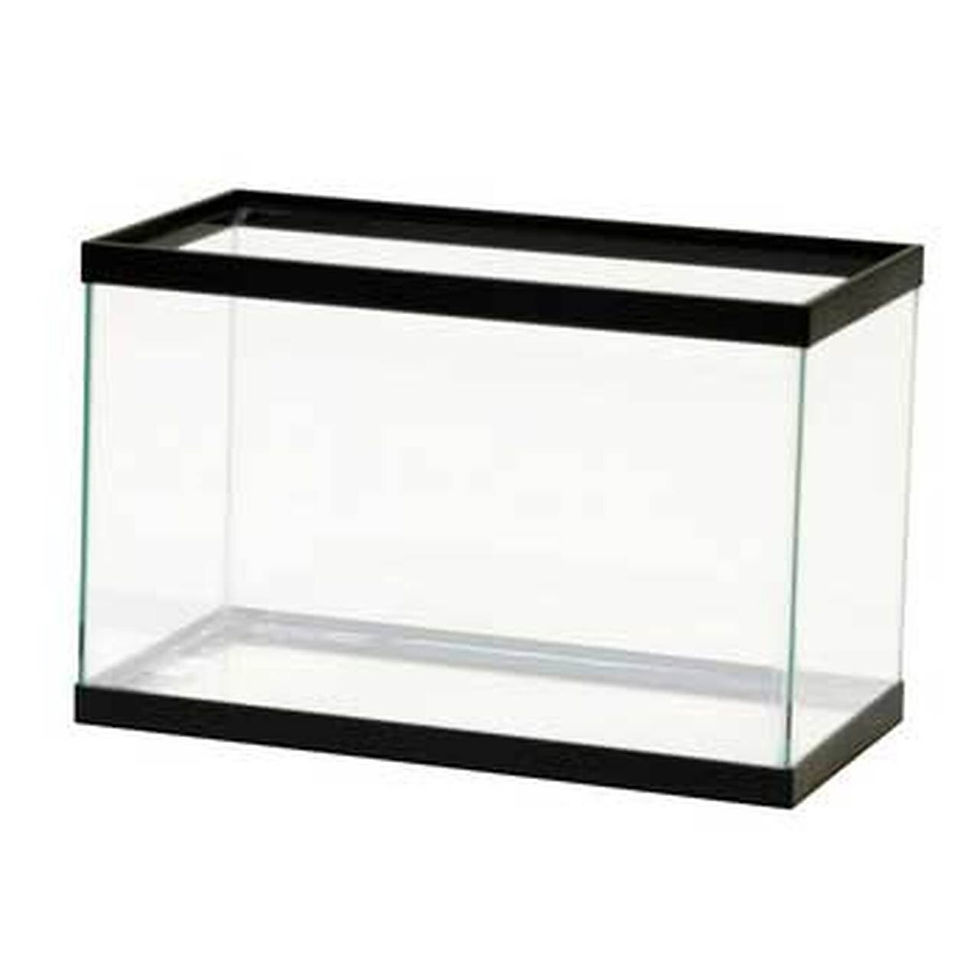 5 Gallon Fish Tank Set Up