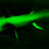 Thumbnail: Axolotl