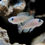 Thumbnail: Neolamprologus Multifaciatus