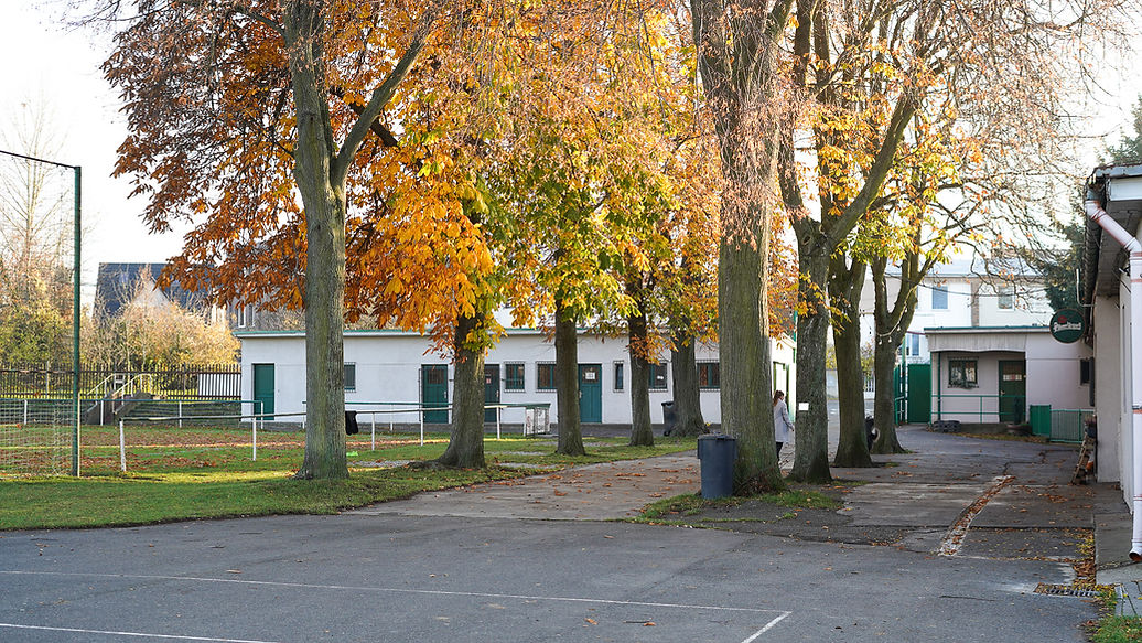 restaurant surrounding .jpg