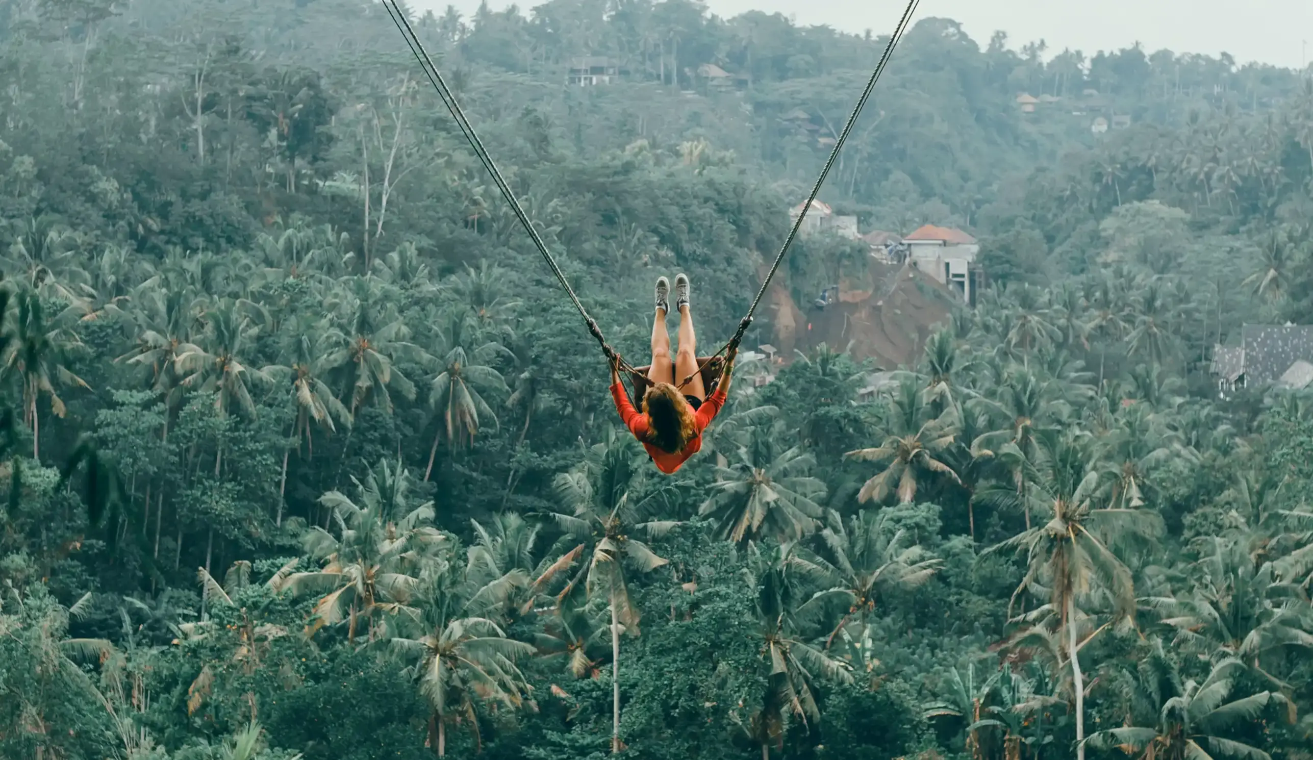 Rider on a long rope swing high above a dense palm forest