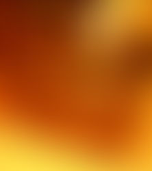 鍵付きショーケース