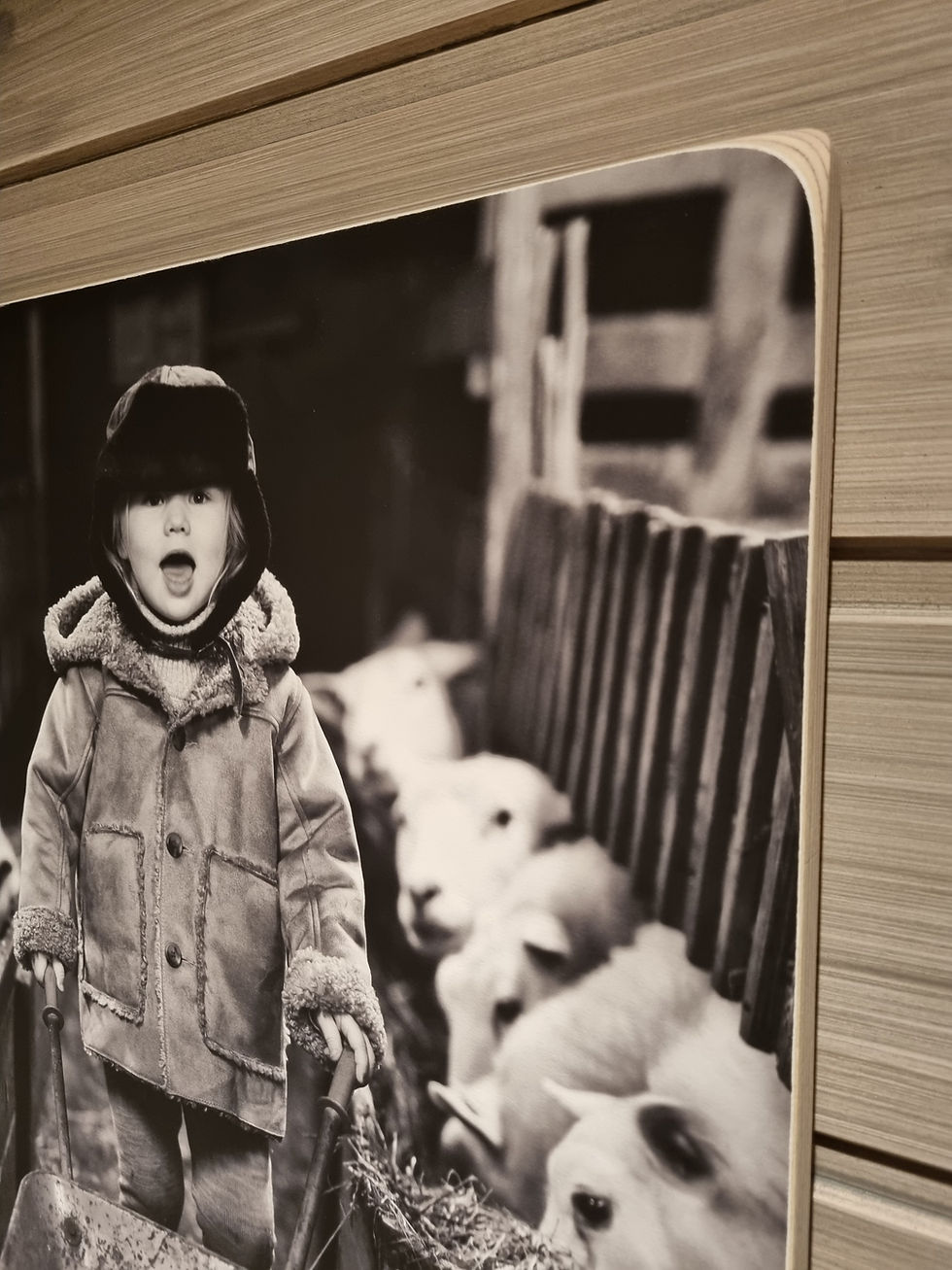 Treplate med akvarell papir