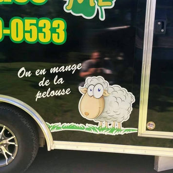 Le dessin d’un mouton sur une portière
