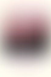 The Latest: 2024, Volume 5