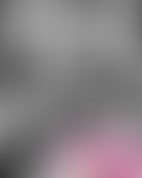 🎄 Act Now to Save Big, NOLA Fit! 🎄 supplements before they go away! energize, fiber, collagen, greens & skinny shakes