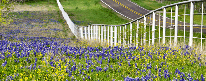 Thumbnail: Texas Two Step