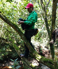 6eaaca08-f372-467a-bfd9-e8c5325c2f62.jpg