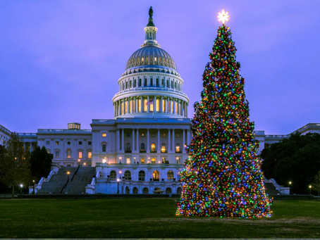 Visit from U.S. Capitol Christmas Tree