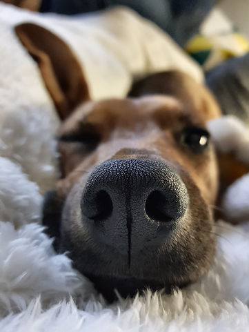 20180105_222826 (1).jpg