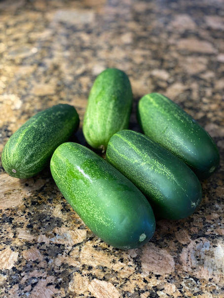 How to Make Cucumber & Chlorophyll Juice 101