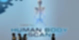 Human Medical Scan by Valve logo