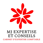 MJ EXPERTISE ET CONSEILS-card-logo