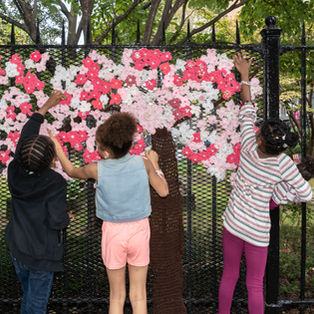 Concourse House Cherry Blossom Installation - Photo Credit Isabelle Gutierrez (2020).jpg