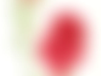 Botanical Brochure of RHS Show V2.0