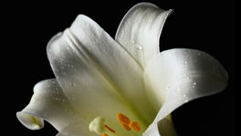 Pastor's Message - April 2022