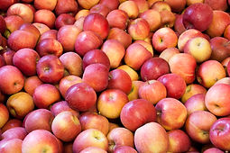 Apples-1.jpg