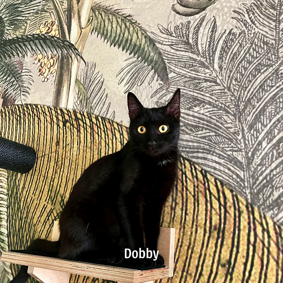 Jahrespatenschaft Heidelberg